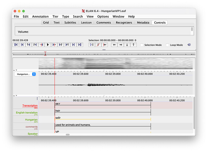 Screenshot of an ELAN session